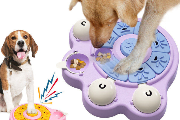 Chien anxieux : 7 solutions pour calmer votre animal au quotidien
