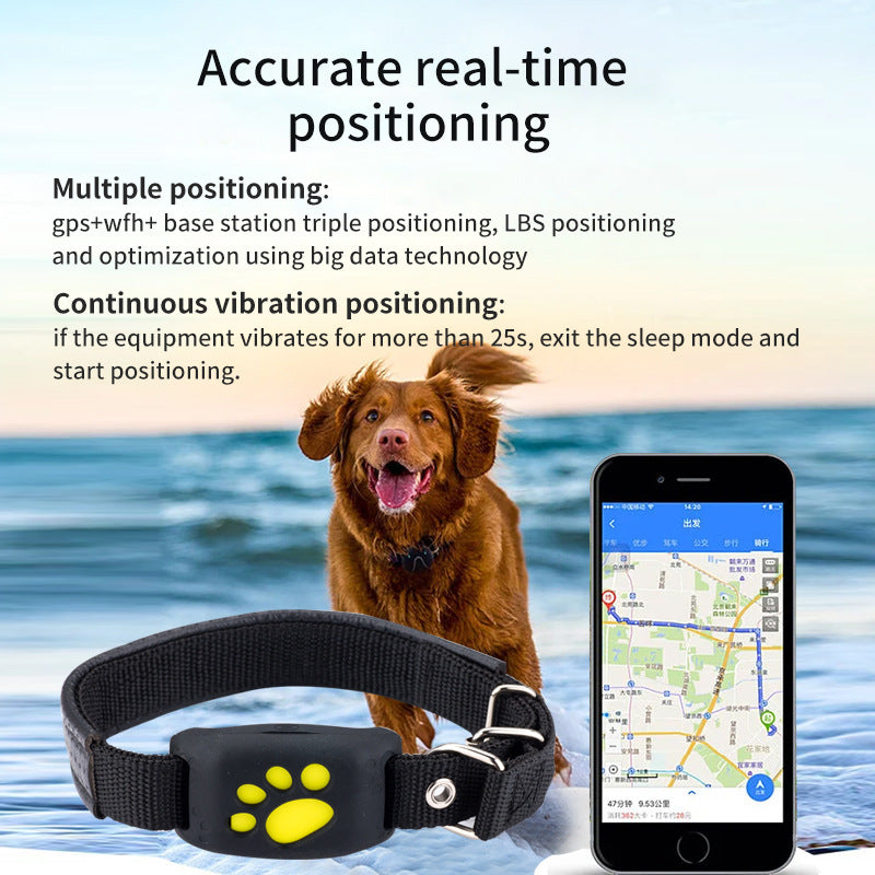 Les traceurs GPS pour animaux : comment ne plus jamais perdre son chien