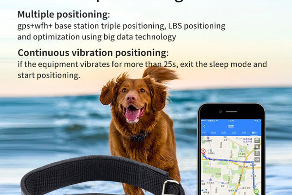 Les traceurs GPS pour animaux : comment ne plus jamais perdre son chien