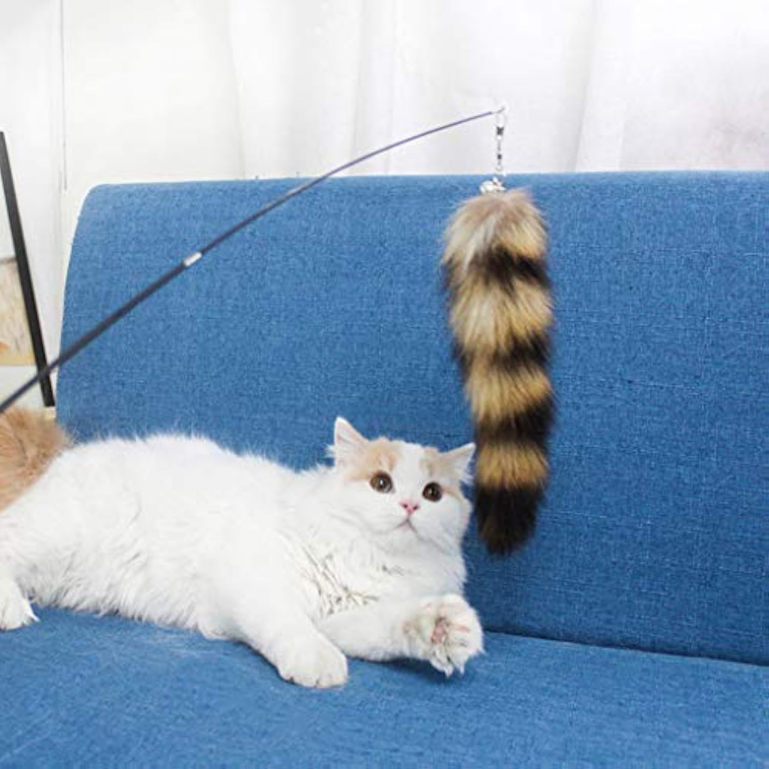 Les meilleurs jouets pour garder votre chat actif et stimulé toute la journée