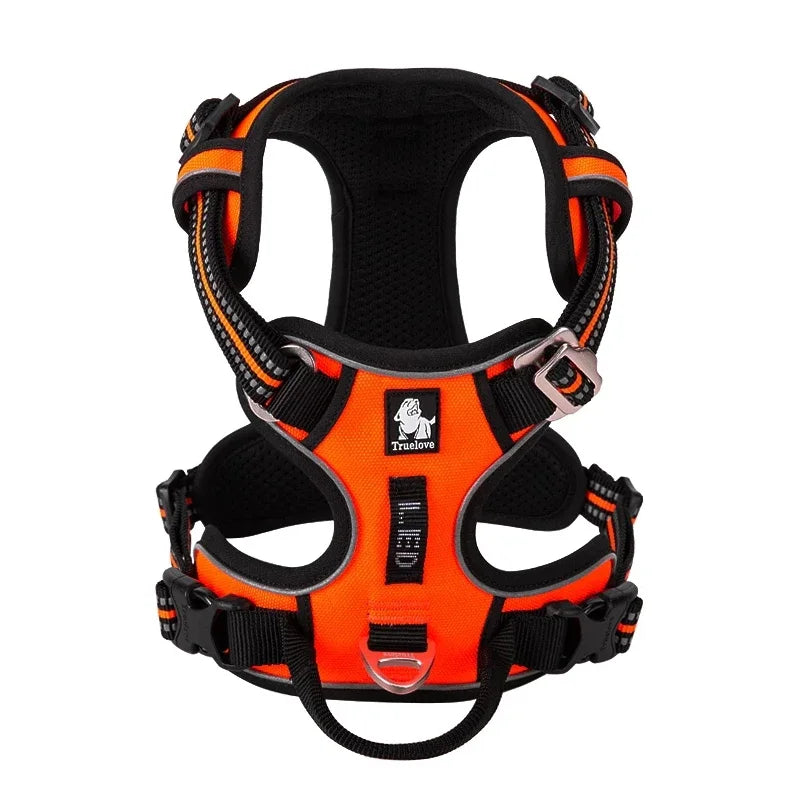 Comment choisir le bon harnais pour votre chien selon sa race et sa taille