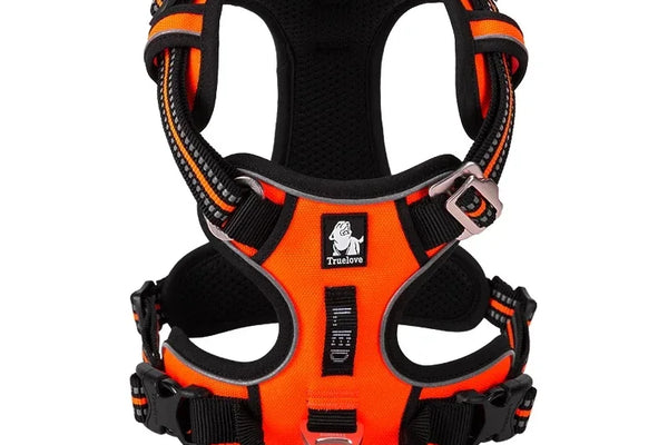 Comment choisir le bon harnais pour votre chien selon sa race et sa taille