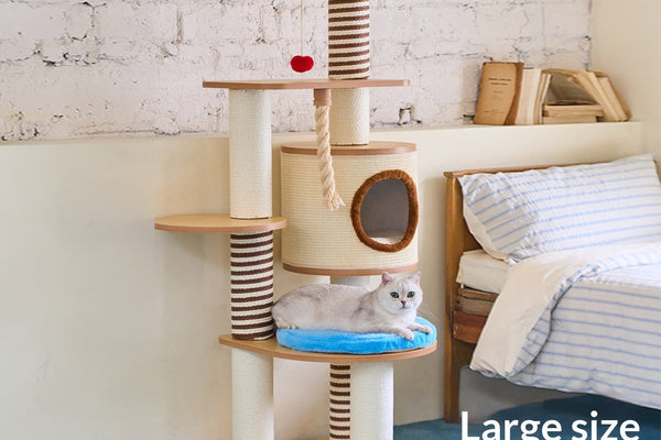 Les 10 accessoires indispensables pour un chat d'intérieur épanoui