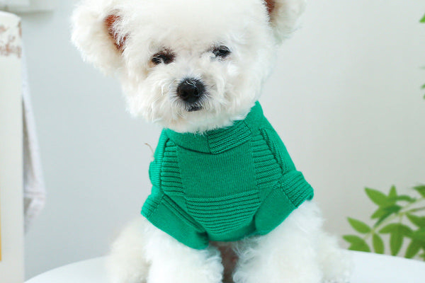 Habiller son chien : tendances mode animaux et comment bien choisir la taille