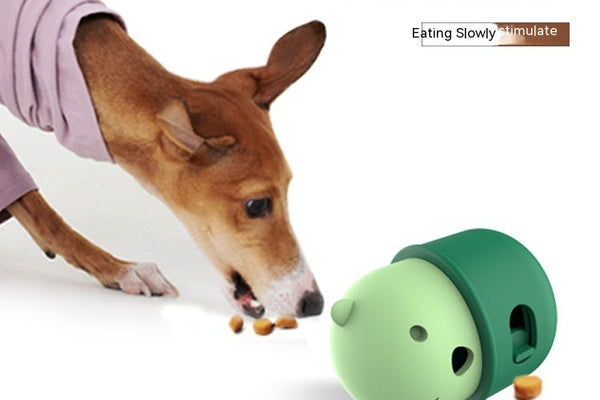 Alimentation chien : comment éviter que votre chien mange trop vite