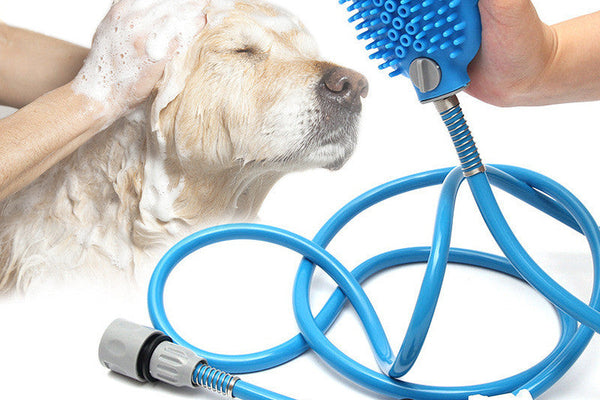 Comment baigner son chien à la maison sans stress — guide étape par étape