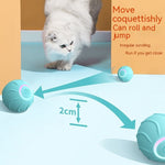Balle Rebondissante Intelligente Chat — Roulement Automatique USB Interactif 4