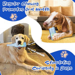Jouet Bouteille Eau Couineur Chien — Mastication Indestructible Interactif 10