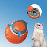 Jouet Queue Rapide Chat — Balle Interactive Vitesse Réglable Rechargeable USB 6