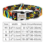 Collier Nylon Personnalisé Chien — Médaille Gravée Nom ID Réglable 5
