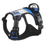 Harnais Gilet Poitrail Chien — Sangle Confort Sécurité Promenade Premium 10