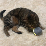 Balle Rebondissante Chat — Jouet Interactif Saut Automatique Stimulation 2