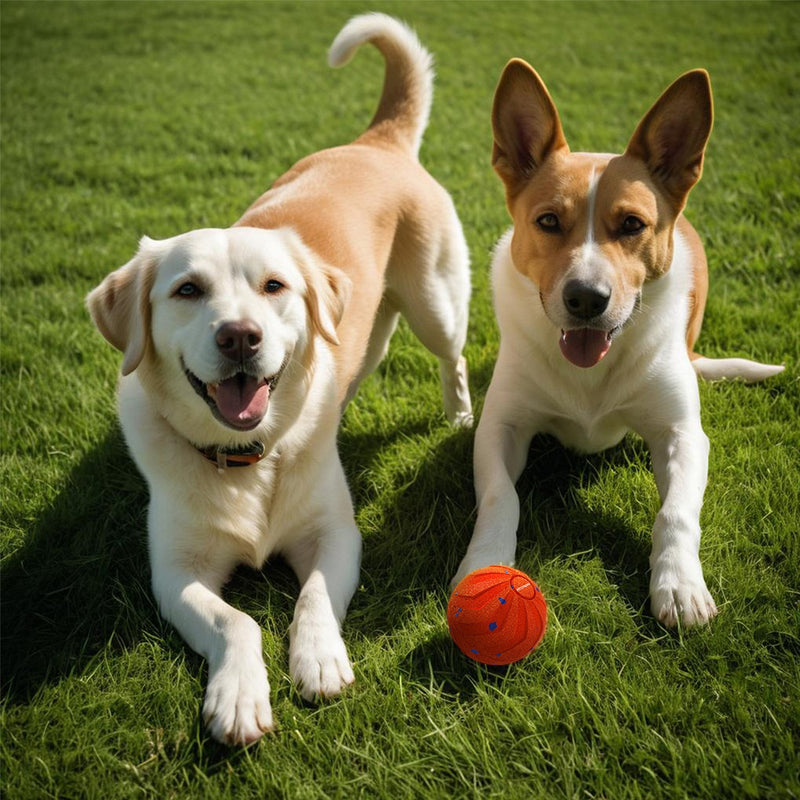 Balle Sautante Chien — Jouet Rebondissant Interactif Énergie Premium