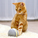 Balle Rebondissante Chat — Jouet Interactif Saut Automatique Stimulation 3