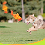 Balle Corde Nœud Chien — Jouet Distributeur Nourriture Mastication Grande Race 6