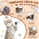 Jouet Catnip Plumes Chat — Lollipop Herbe à Chat Naturelle Compressée Kicker 5