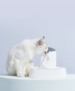 Fontaine Eau Circulante Automatique Chat 1.5L — Filtre 4 Couches Premium 4