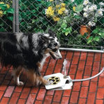 Fontaine Eau Extérieure Chien — Distributeur Automatique Outdoor Portable 1
