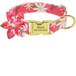 Collier Imprimé Personnalisé Chien Chat — Nylon Fashion Gravure ID Premium 5