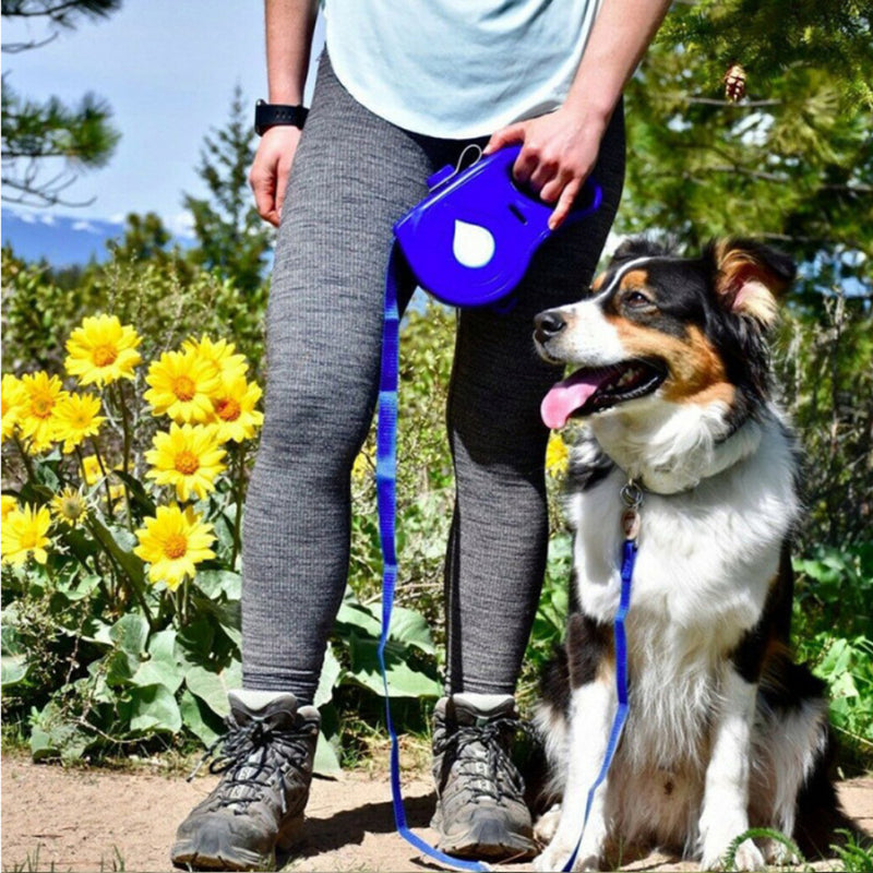 Laisse Rétractable Multifonction Chien — Automatique Portable Confort Premium