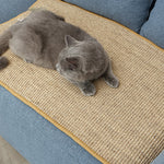 Tapis Griffoir Sisal Chat — Planche Naturelle Anti-Effilochage Résistante 2