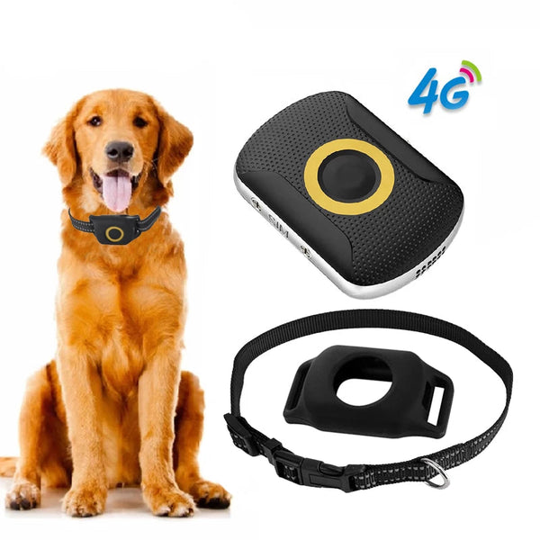 Collier GPS Waterproof Chien — Traceur Intelligent Rappel & Localisation Temps Réel