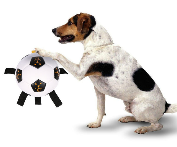 Ballon Football Chien Multifonction — Balle Corde Entraînement Extérieur