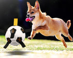 Ballon Football Chien Multifonction — Balle Corde Entraînement Extérieur 2