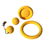 Kit Dressage Spécial Border Collie — Accessoires Entraînement Professionnel Chien 3