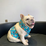 Bandana Rafraîchissant Chien Été — Écharpe Ice Cooling Protection Chaleur 1