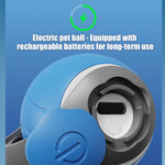 Jouet Queue Rapide Chat — Balle Interactive Vitesse Réglable Rechargeable USB 5