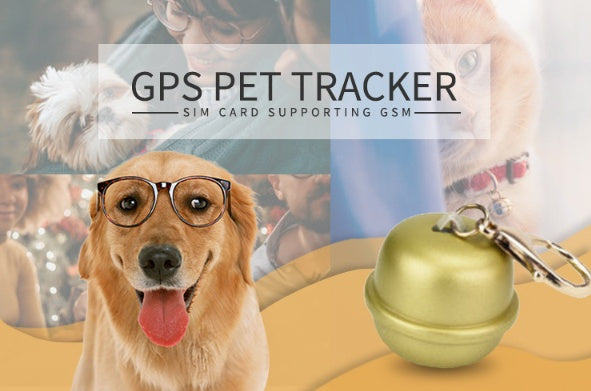 Collier GPS Chien — Localisateur Intelligent Temps Réel