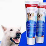 Dentifrice Chien Chat — Pâte Dentaire Naturelle Hygiène Buccale Premium 1