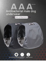 Culotte Physiologique Mâle Chien — Ceinture Anti-Harcèlement Stérilisation 10