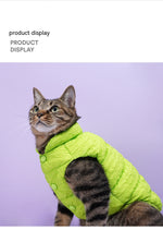 Gilet Hiver Chat Chien Universel — Vêtement Chaud Anti-Peluches Confort 8
