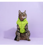Gilet Hiver Chat Chien Universel — Vêtement Chaud Anti-Peluches Confort 9