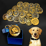 Médaille ID Métal Gravée Personnalisée Chien — Anti-Perte Carte Identité 1