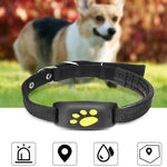 Traceur GPS Animal de Compagnie — Localisation Temps Réel Chien & Chat 1