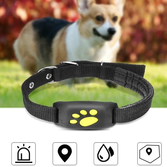 Traceur GPS Animal de Compagnie — Localisation Temps Réel Chien & Chat