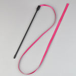 baguette-arc-en-ciel-interactive-chat-ruban-colore-charmeuse-taquineur-mounepets 12