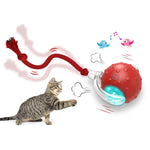 Jouet Catnip Avocat Rotatif 360° — Toupie Auto-Redressante Herbe à Chat 4
