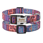 Collier Nylon Personnalisé Chien — Médaille Gravée Nom ID Réglable 3