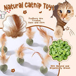 Jouet Catnip Plumes Chat — Lollipop Herbe à Chat Naturelle Compressée Kicker 4