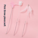 Set Baguette Interactive Chat — Plumes & Grelots Jouet Stimulation Instinct 3