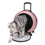 Sac Trolley Transparent Renforcé PC Chat Chien — Portable Voyage Premium 4