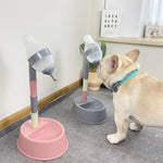 Distributeur Eau Automatique Chien Chat — Fontaine Réglable Hauteur Station 5
