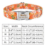 Collier Nylon Personnalisé Chien — Médaille Gravée Nom ID Réglable 7