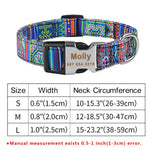 Collier Nylon Personnalisé Chien — Médaille Gravée Nom ID Réglable 2