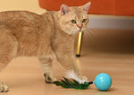 Balle Taquineur Chat Multi-Mode Rechargeable — Jouet Interactif Hauteur LED 5