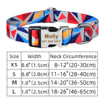 Collier Nylon Personnalisé Chien — Médaille Gravée Nom ID Réglable 6